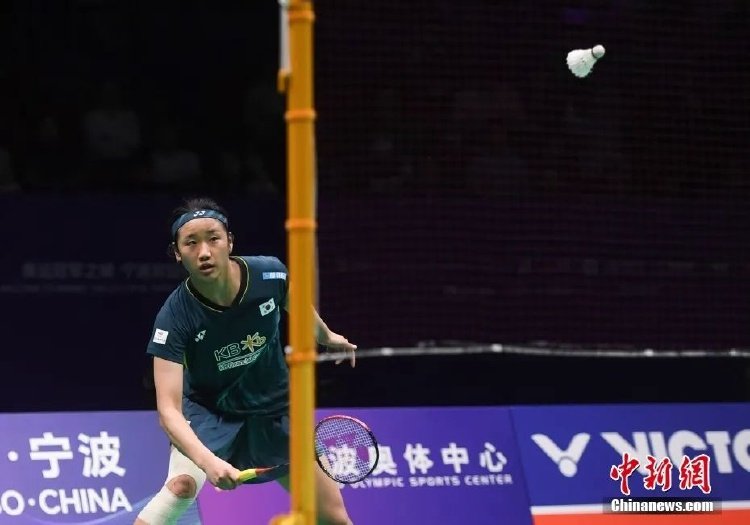 的运动品牌 的运动品牌