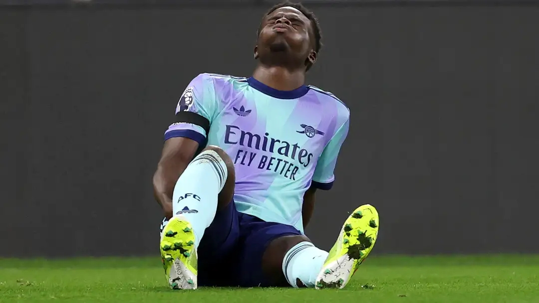 新的亮点 新的亮点